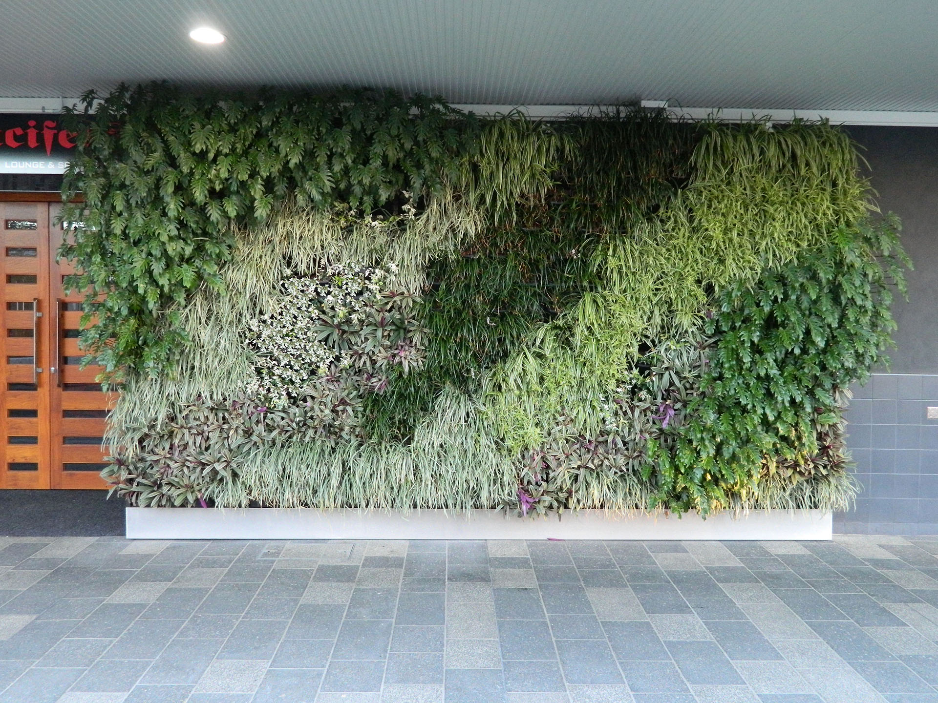 Atlantis Gro-Wall Slim Line vertical garden